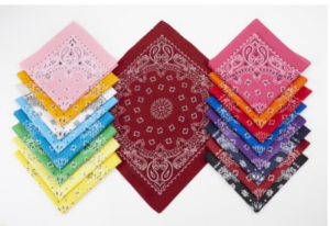 Blank Classic Paisley Design Style Premium Bandanna 22" X 22" - IB4300
